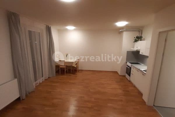 Pronájem bytu 1+kk 35 m², Wassermannova, Hlavní město Praha