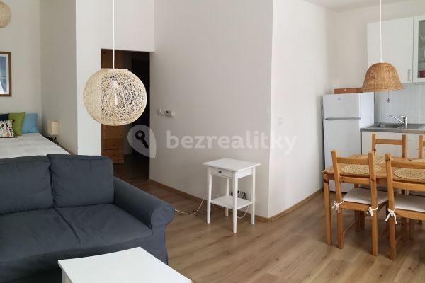 Pronájem bytu 1+kk 32 m², Celní, Brno