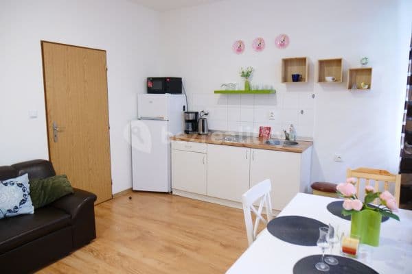 Pronájem bytu  47 m², Ruská, Teplice, Ústecký kraj