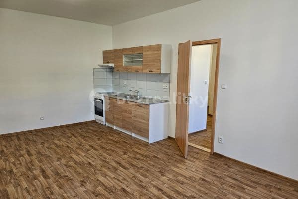 Pronájem bytu 2+kk 50 m², Veletržní, Hlavní město Praha