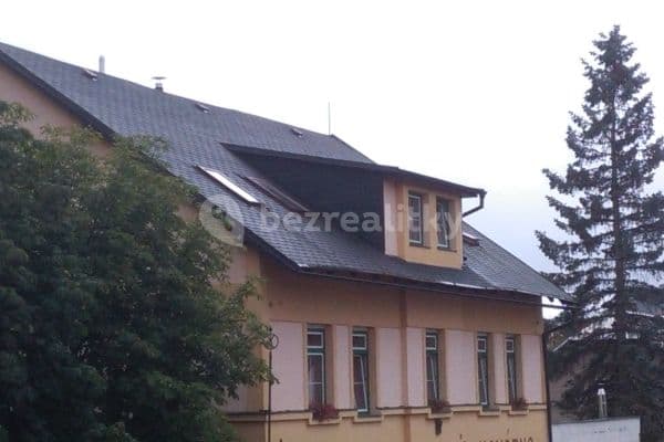 Pronájem bytu  1.500 m², Cesta Svobody, Říčany