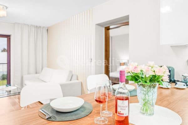 Pronájem bytu  52 m², U Borského parku, Plzeň, Plzeňský kraj