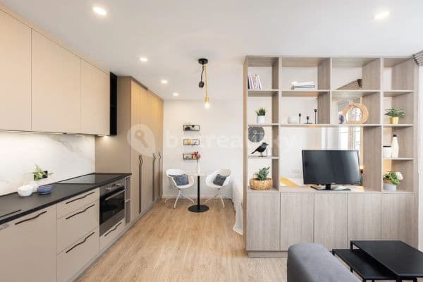 Pronájem bytu 1+1 30 m², Moravská, Praha, Praha
