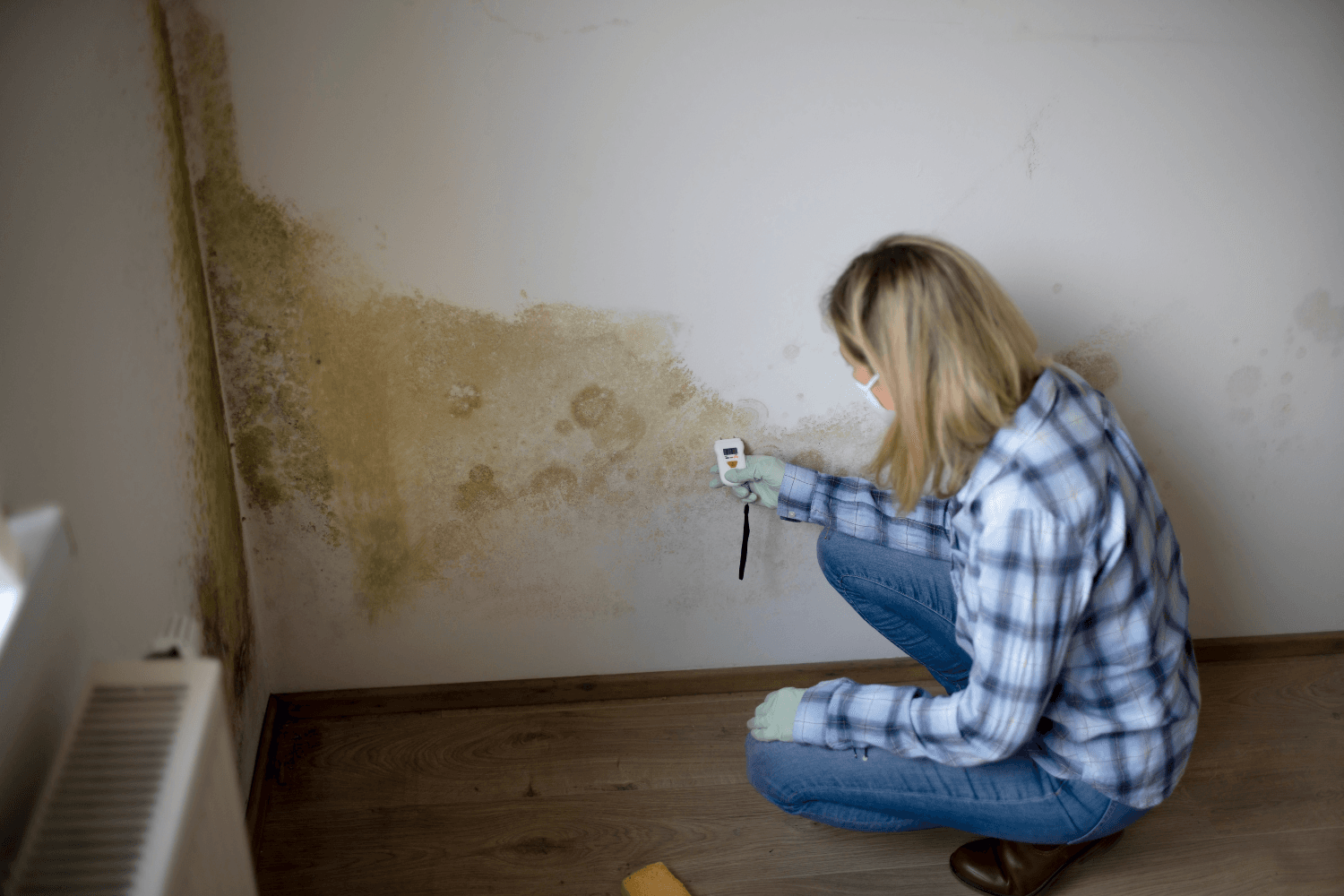 Pokud plíseň v bytě odhalíte bezprostředně po nastěhování, může jít o skrytou vadu, kterou musí vyřešit majitel.