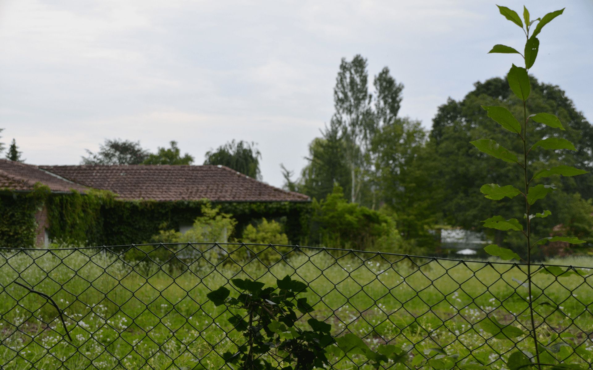 Chcete plot na společné hranici, ale soused ne? Pak jej budete muset posunout na svůj pozemek.