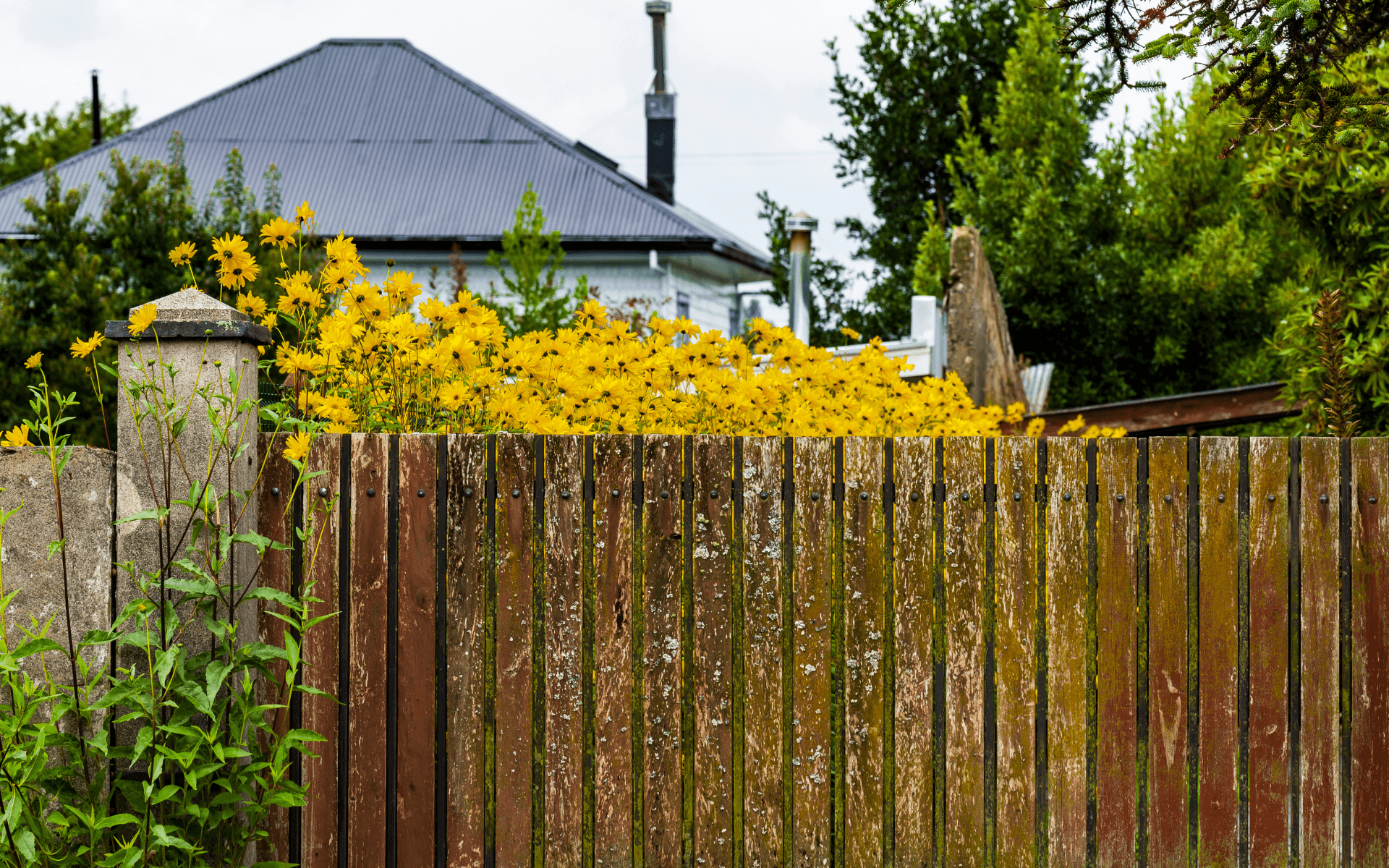 Výška plotu mezi sousedy do dvou metrů nevyžaduje ani stavební povolení ani ohlášení stavby.