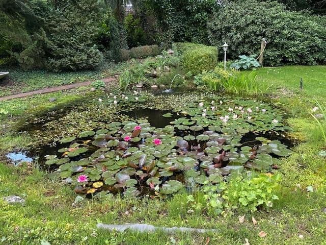 Prodej domu 200 m², pozemek 5.480 m², Luhkamp 5, Bispingen, Dolní Sasko Prodej domu 200 m², pozemek 5.480 m², Luhkamp 5, Bispingen, Dolní Sasko