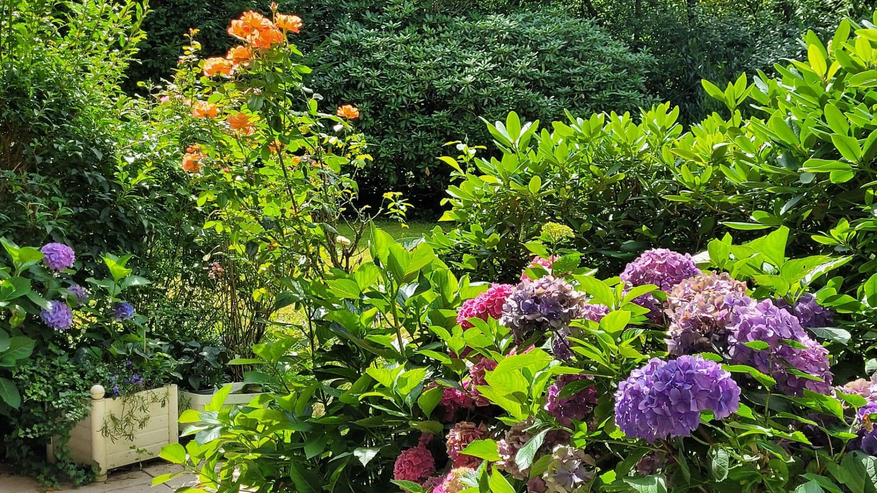 Prodej bytu 2+1 80 m², Hamburg, Hamburg Prodej bytu 2+1 80 m², Hamburg, Hamburg