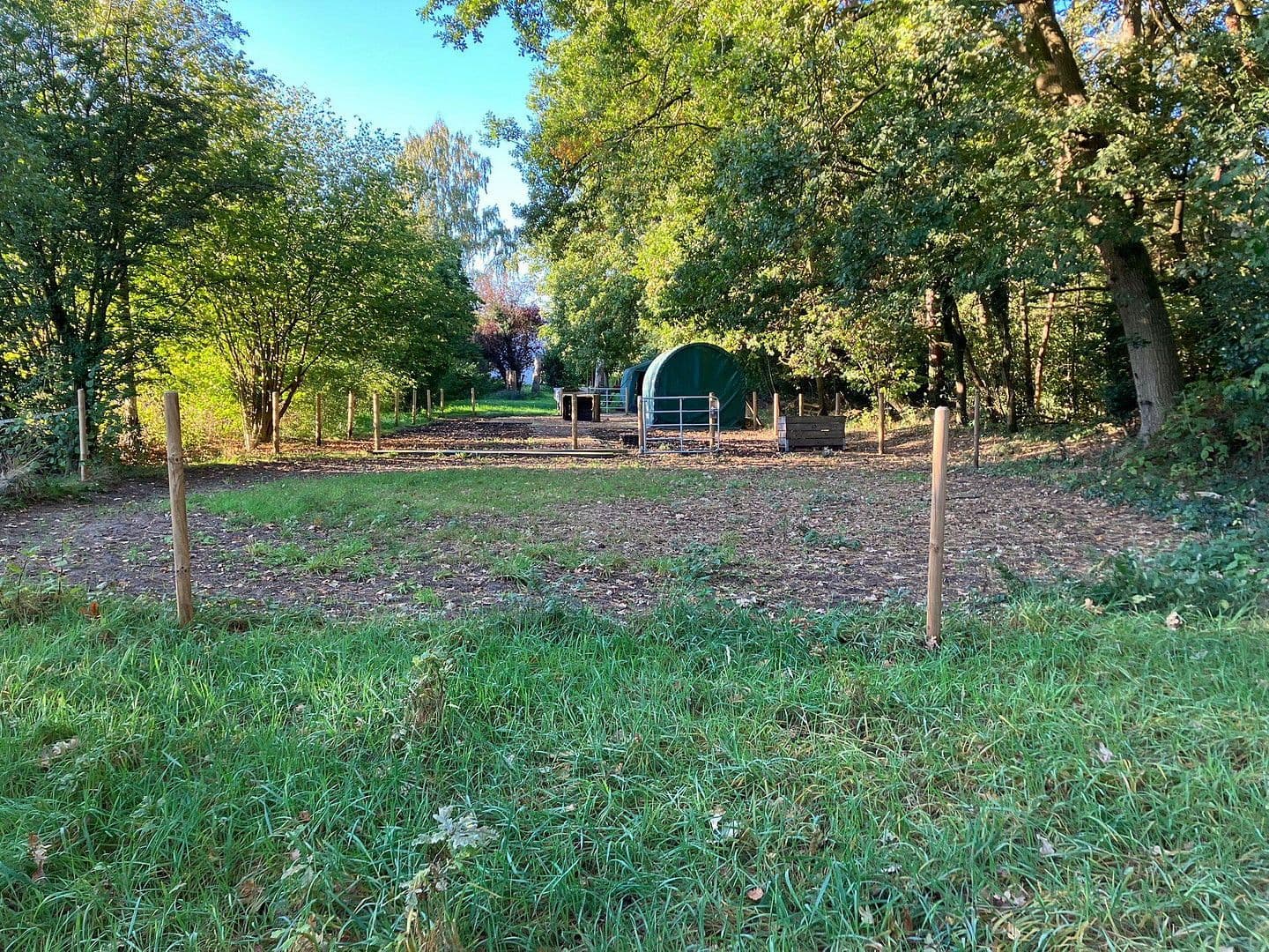 Prodej domu 213 m², pozemek 5.000 m², Garbsen, Dolní Sasko Prodej domu 213 m², pozemek 5.000 m², Garbsen, Dolní Sasko