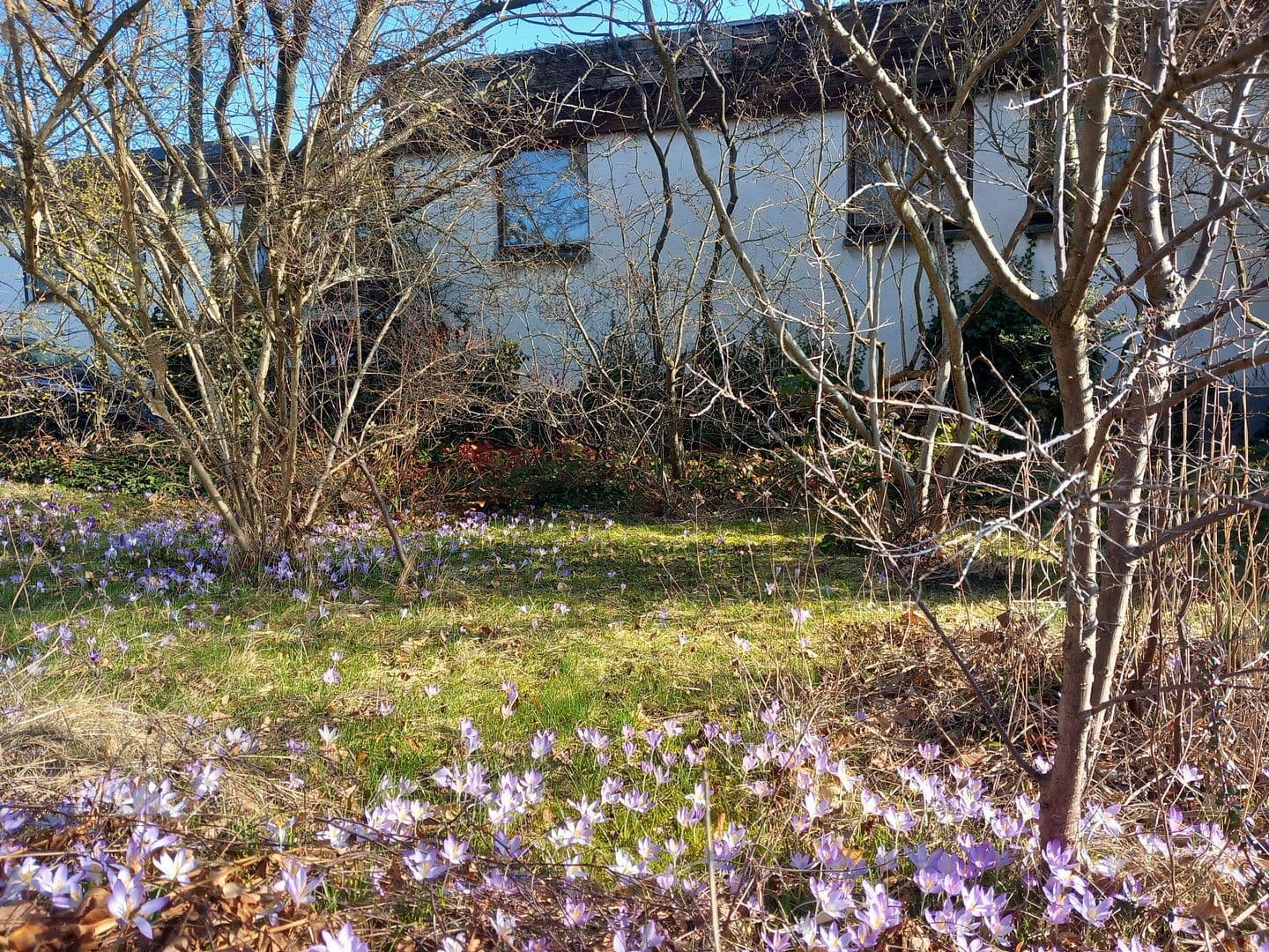 Prodej domu 125 m², pozemek 474 m², Claußallee 9, Freiberg, Sasko Prodej domu 125 m², pozemek 474 m², Claußallee 9, Freiberg, Sasko