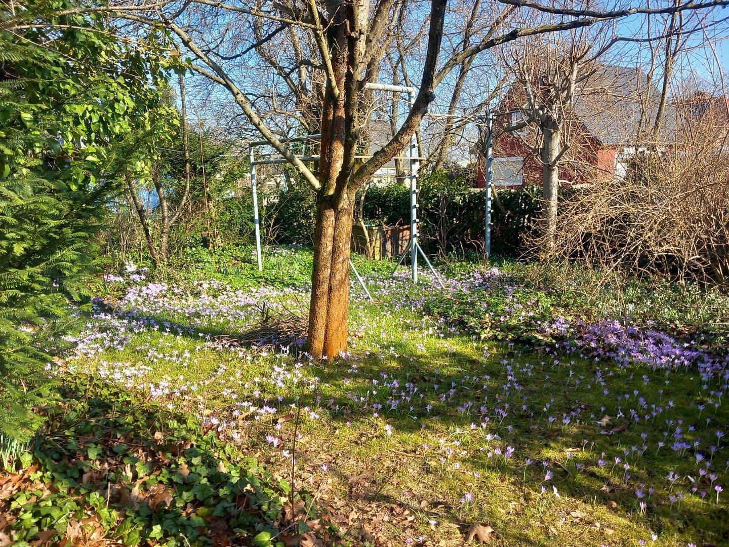 Prodej domu 125 m², pozemek 474 m², Claußallee 9, Freiberg, Sasko Prodej domu 125 m², pozemek 474 m², Claußallee 9, Freiberg, Sasko