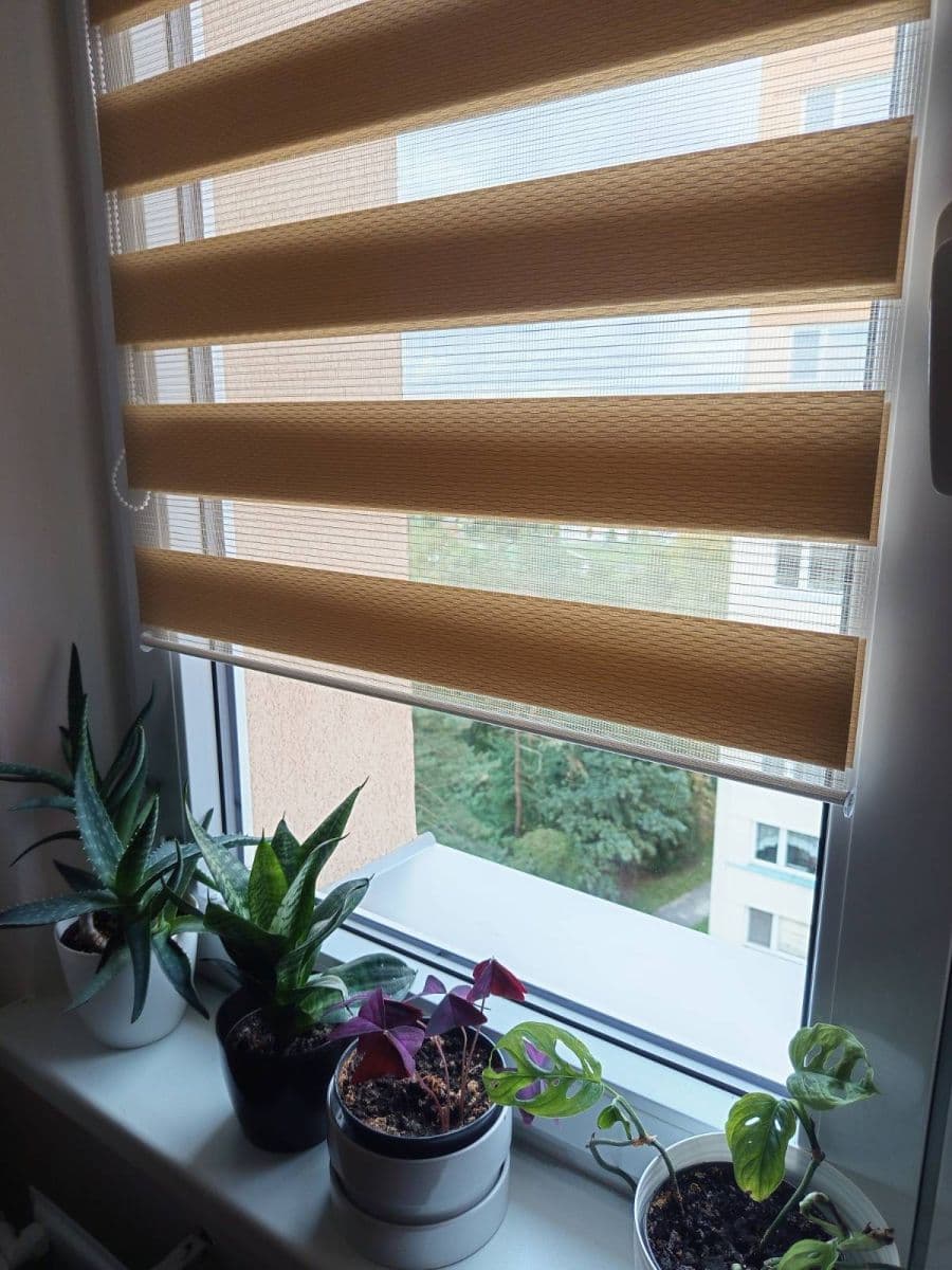 Prodej bytu 3+1 65 m², Pavlouskova, Ostrava, Moravskoslezský kraj Prodej bytu 3+1 65 m², Pavlouskova, Ostrava, Moravskoslezský kraj