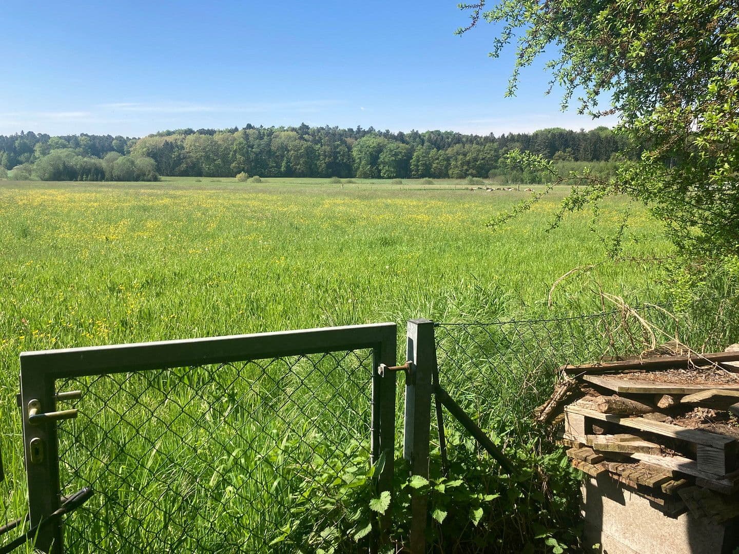 Prodej domu 213 m², pozemek 1.193 m², Jägersteig 11, Schrobenhausen, Bavorsko Prodej domu 213 m², pozemek 1.193 m², Jägersteig 11, Schrobenhausen, Bavorsko