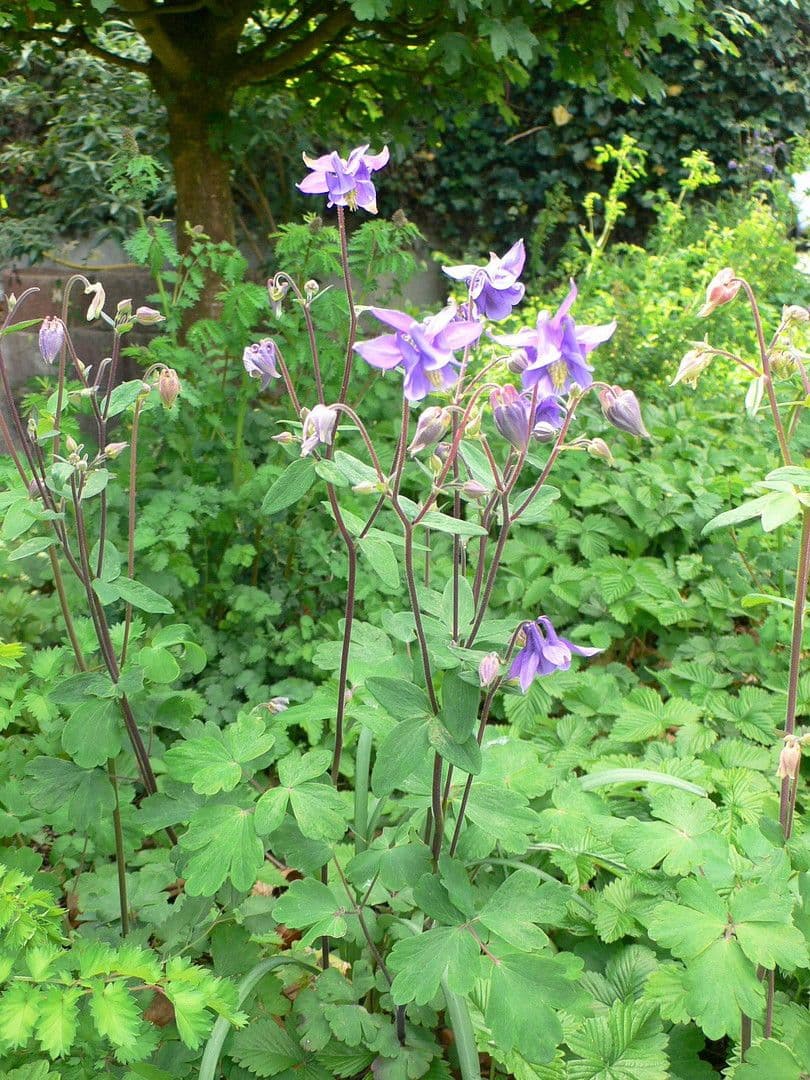 Pronájem bytu 2+kk 56 m², Mönchengladbach, Severní Porýní-Vestfálsko Pronájem bytu 2+kk 56 m², Mönchengladbach, Severní Porýní-Vestfálsko