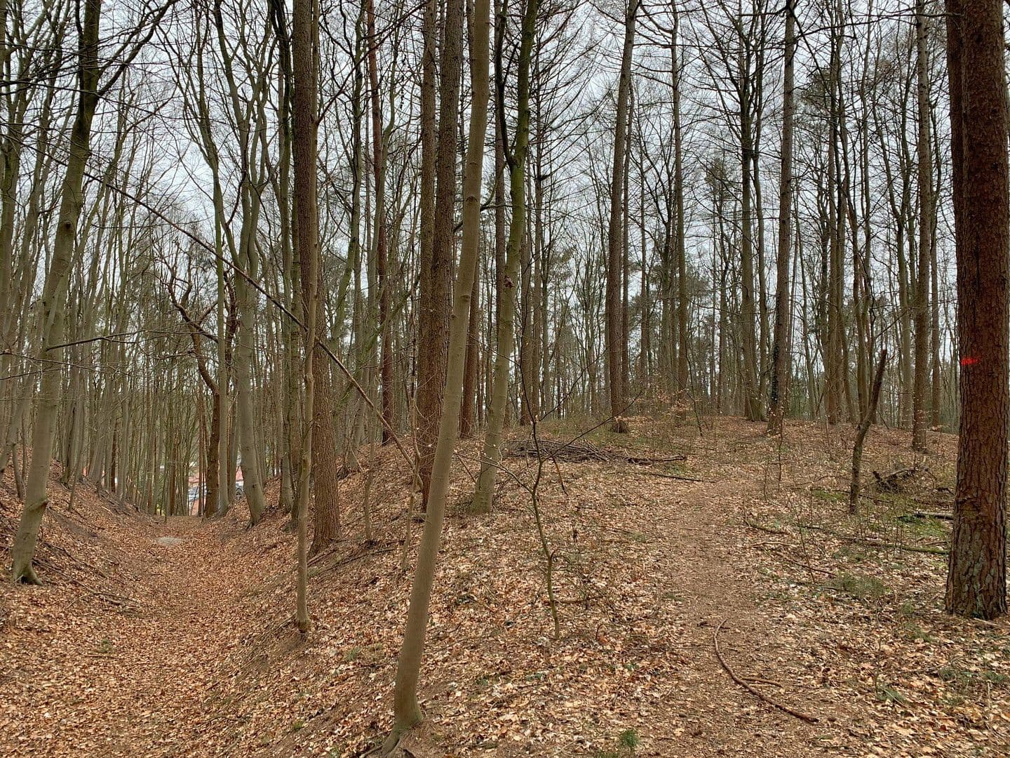 Pronájem bytu 4+1 96 m², Trift 5A, Geesthacht, Šlesvicko-Holštýnsko Pronájem bytu 4+1 96 m², Trift 5A, Geesthacht, Šlesvicko-Holštýnsko