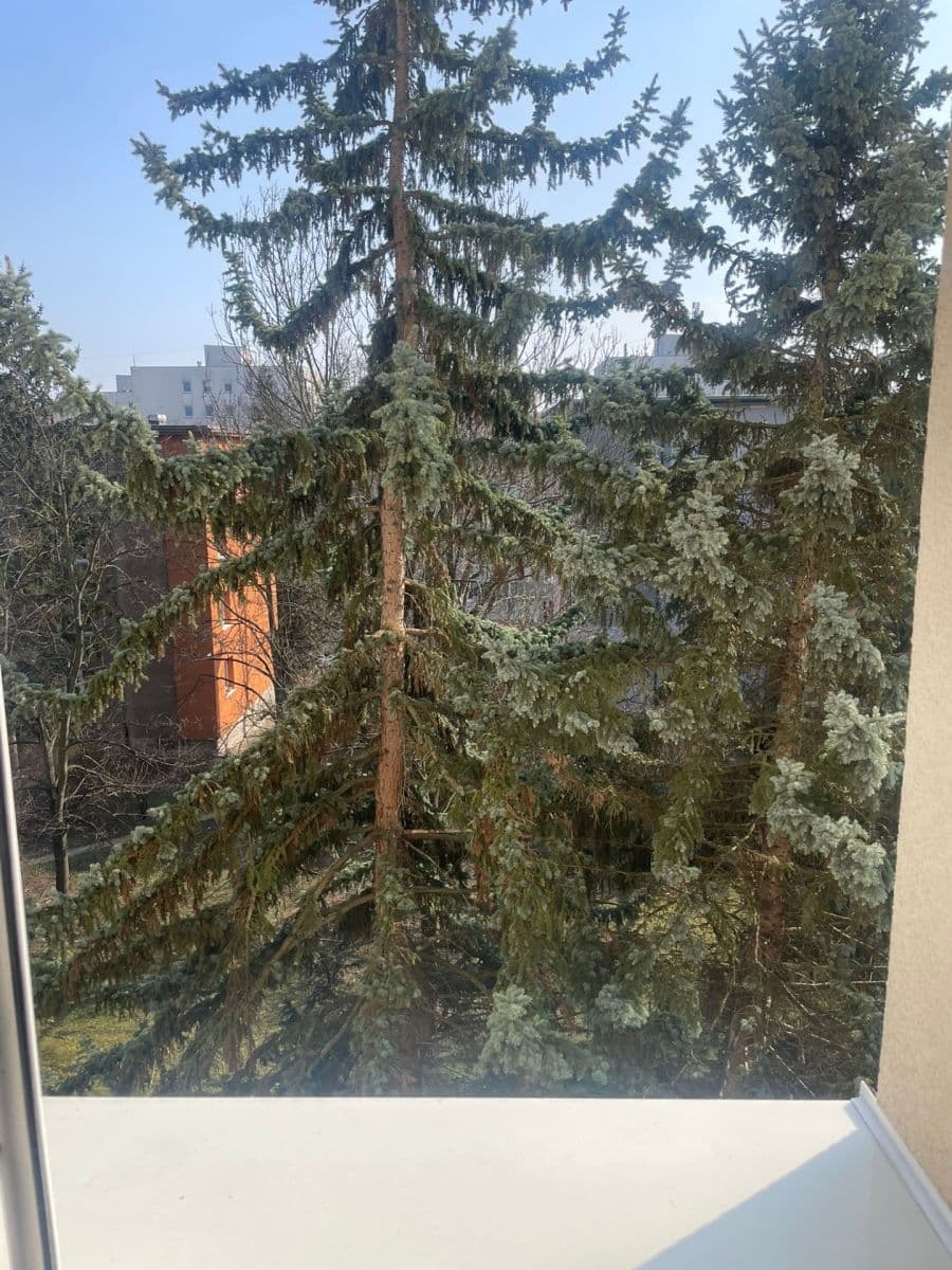 Pronájem bytu 1+1 36 m², Pod Lipami, Praha, Praha Pronájem bytu 1+1 36 m², Pod Lipami, Praha, Praha