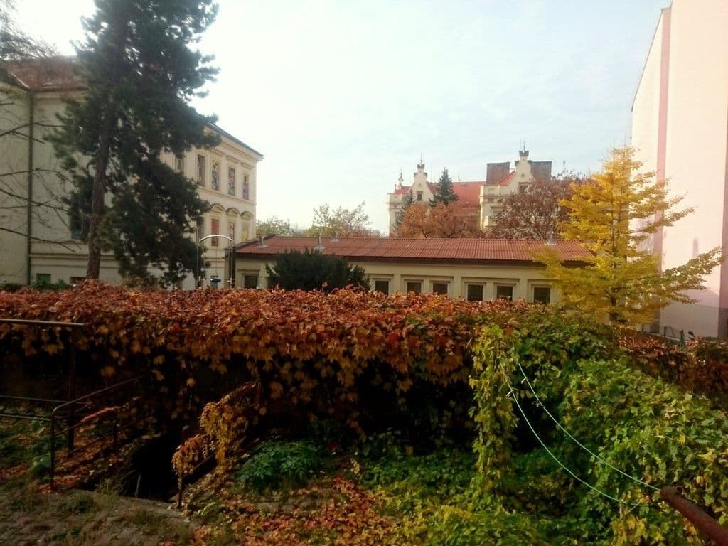 Pronájem bytu 2+kk 49 m², Levá, Praha, Praha Pronájem bytu 2+kk 49 m², Levá, Praha, Praha