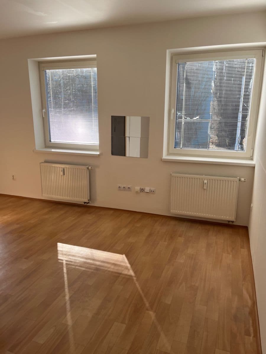 Pronájem bytu 1+kk 42 m², Dačického, Brno, Jihomoravský kraj Pronájem bytu 1+kk 42 m², Dačického, Brno, Jihomoravský kraj