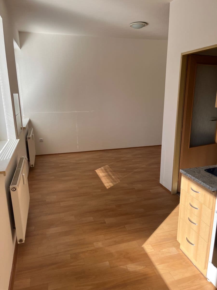 Pronájem bytu 1+kk 42 m², Dačického, Brno, Jihomoravský kraj Pronájem bytu 1+kk 42 m², Dačického, Brno, Jihomoravský kraj