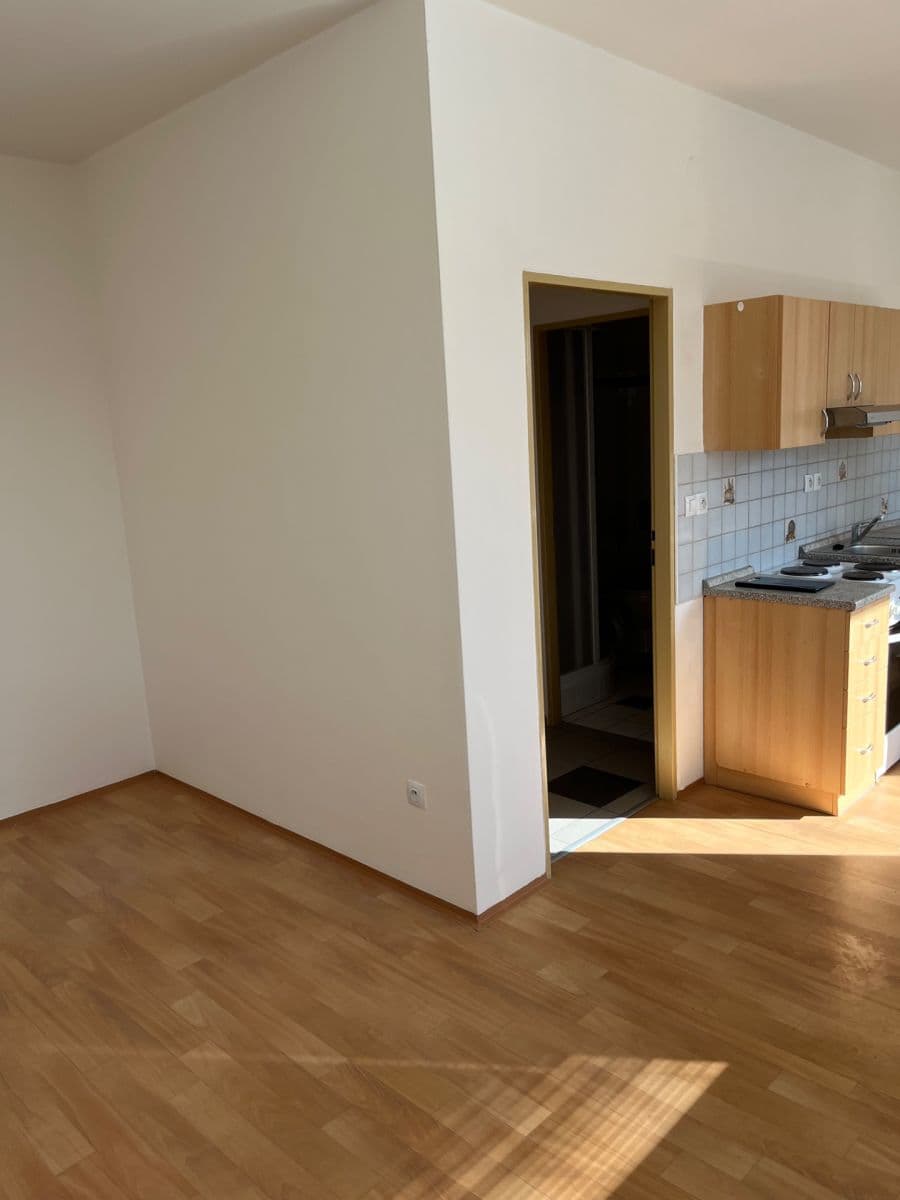 Pronájem bytu 1+kk 42 m², Dačického, Brno, Jihomoravský kraj Pronájem bytu 1+kk 42 m², Dačického, Brno, Jihomoravský kraj