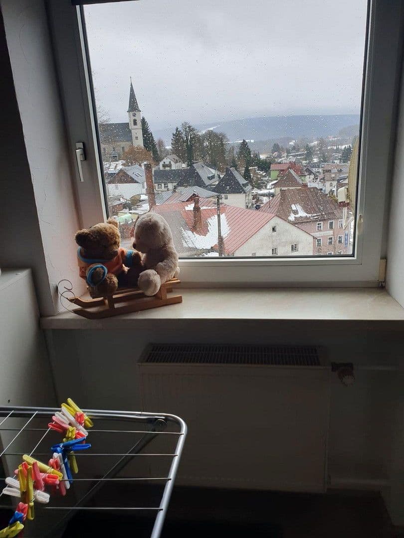 Pronájem bytu 3+1 58 m², Fichtelberg, Bavorsko Pronájem bytu 3+1 58 m², Fichtelberg, Bavorsko