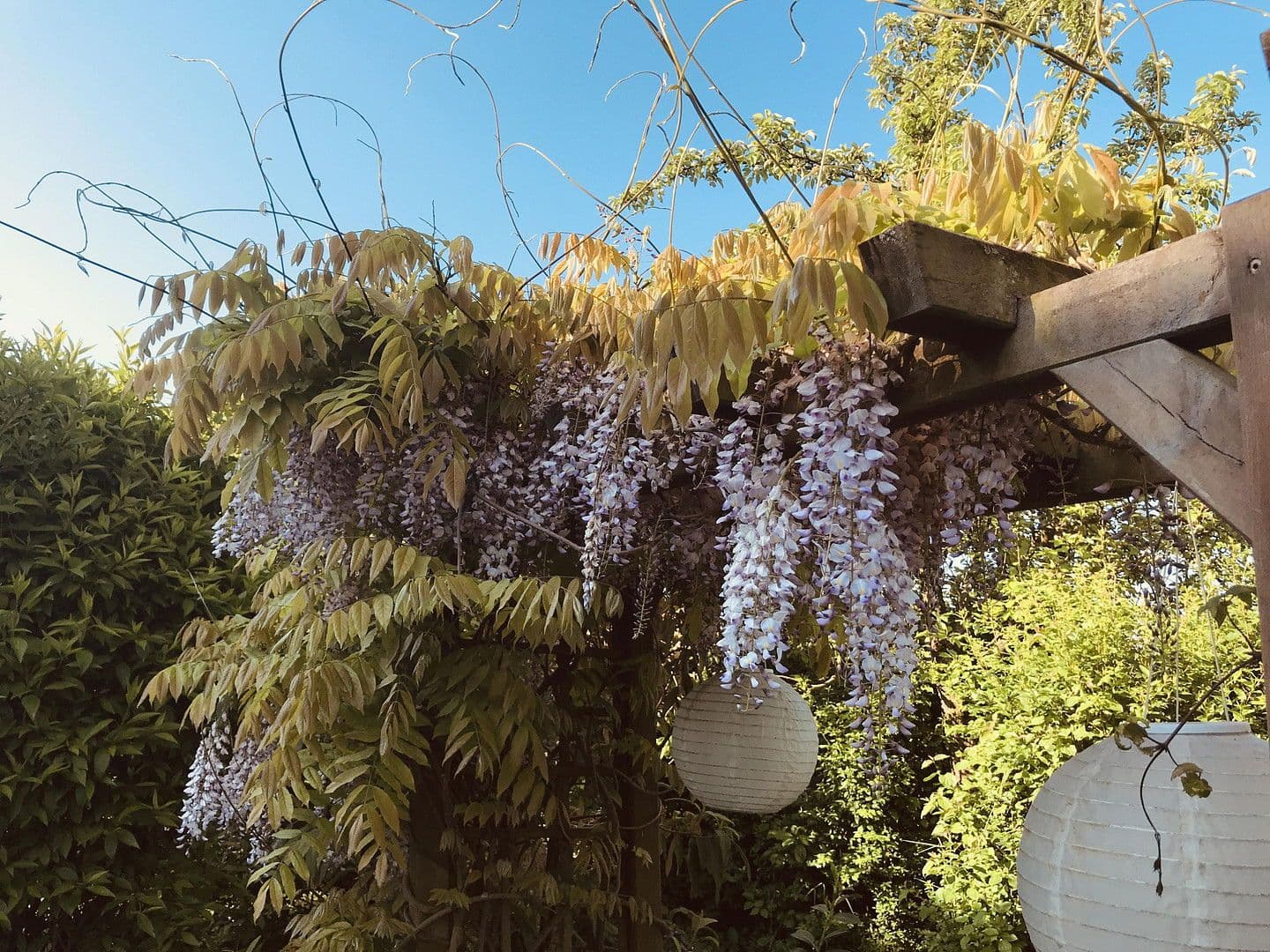 Prodej domu 160 m², pozemek 175 m², Wörth, Bavorsko Prodej domu 160 m², pozemek 175 m², Wörth, Bavorsko