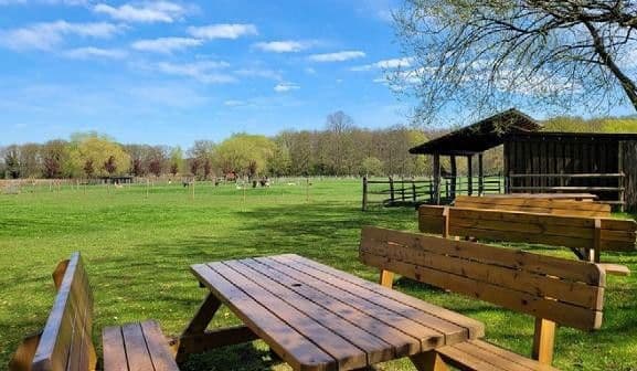 Prodej domu 703 m², pozemek 41.670 m², Niederkrüchten, Severní Porýní-Vestfálsko Prodej domu 703 m², pozemek 41.670 m², Niederkrüchten, Severní Porýní-Vestfálsko