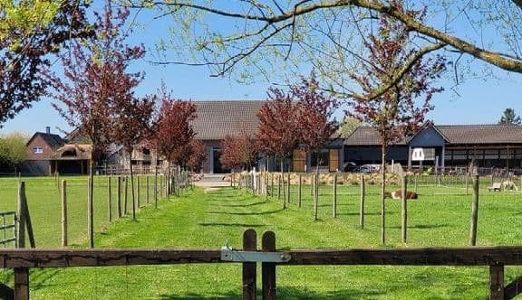 Prodej domu 703 m², pozemek 41.670 m², Niederkrüchten, Severní Porýní-Vestfálsko Prodej domu 703 m², pozemek 41.670 m², Niederkrüchten, Severní Porýní-Vestfálsko