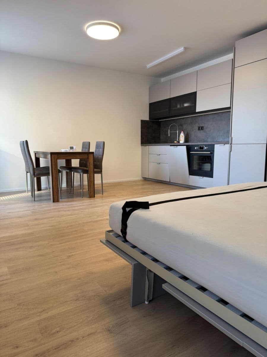 Pronájem bytu 1+kk 39 m², Auerswaldova, Brno, Jihomoravský kraj Pronájem bytu 1+kk 39 m², Auerswaldova, Brno, Jihomoravský kraj
