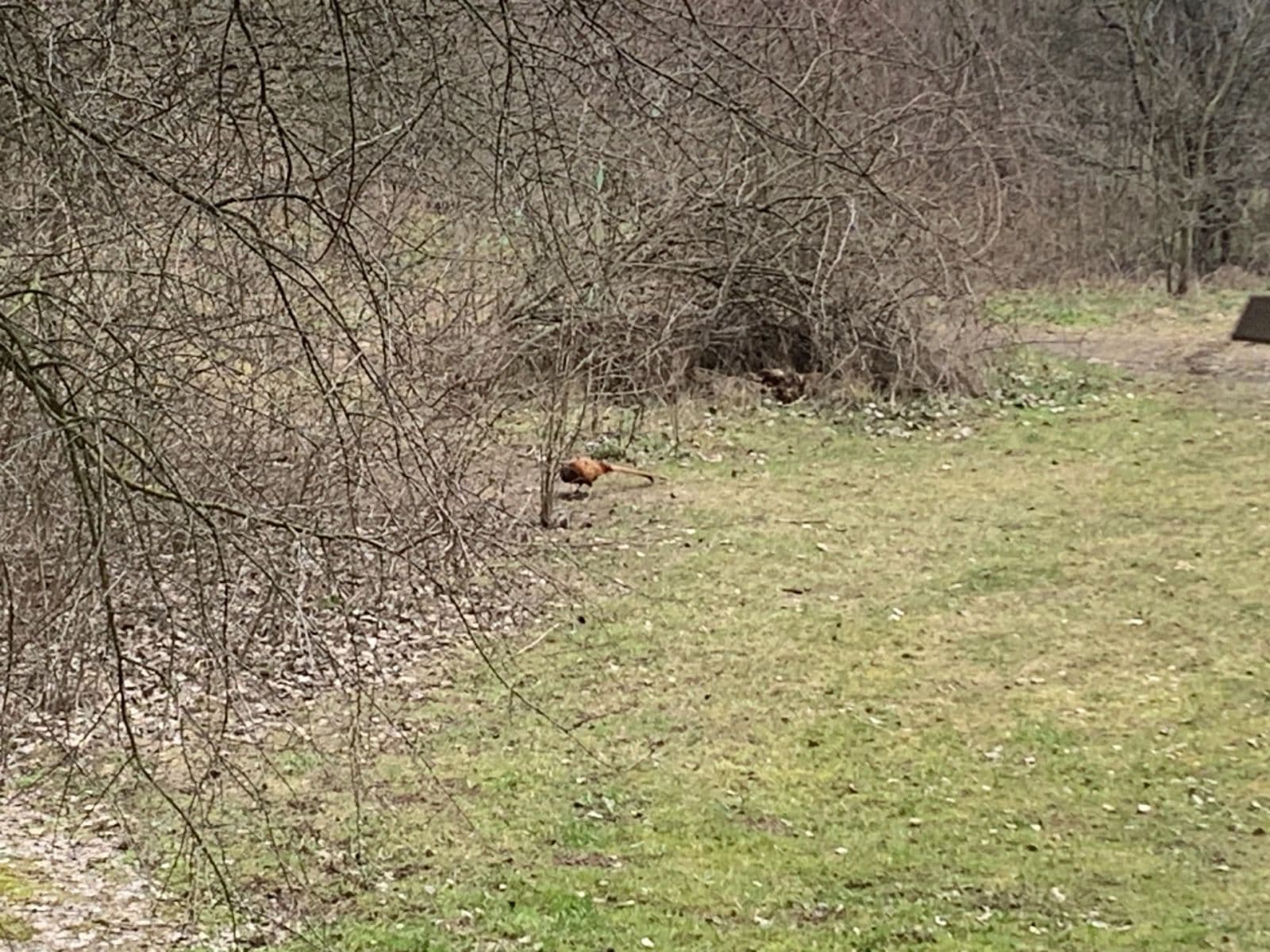 Pronájem bytu 3+1 74 m², Vazovova, Praha, Praha Pronájem bytu 3+1 74 m², Vazovova, Praha, Praha