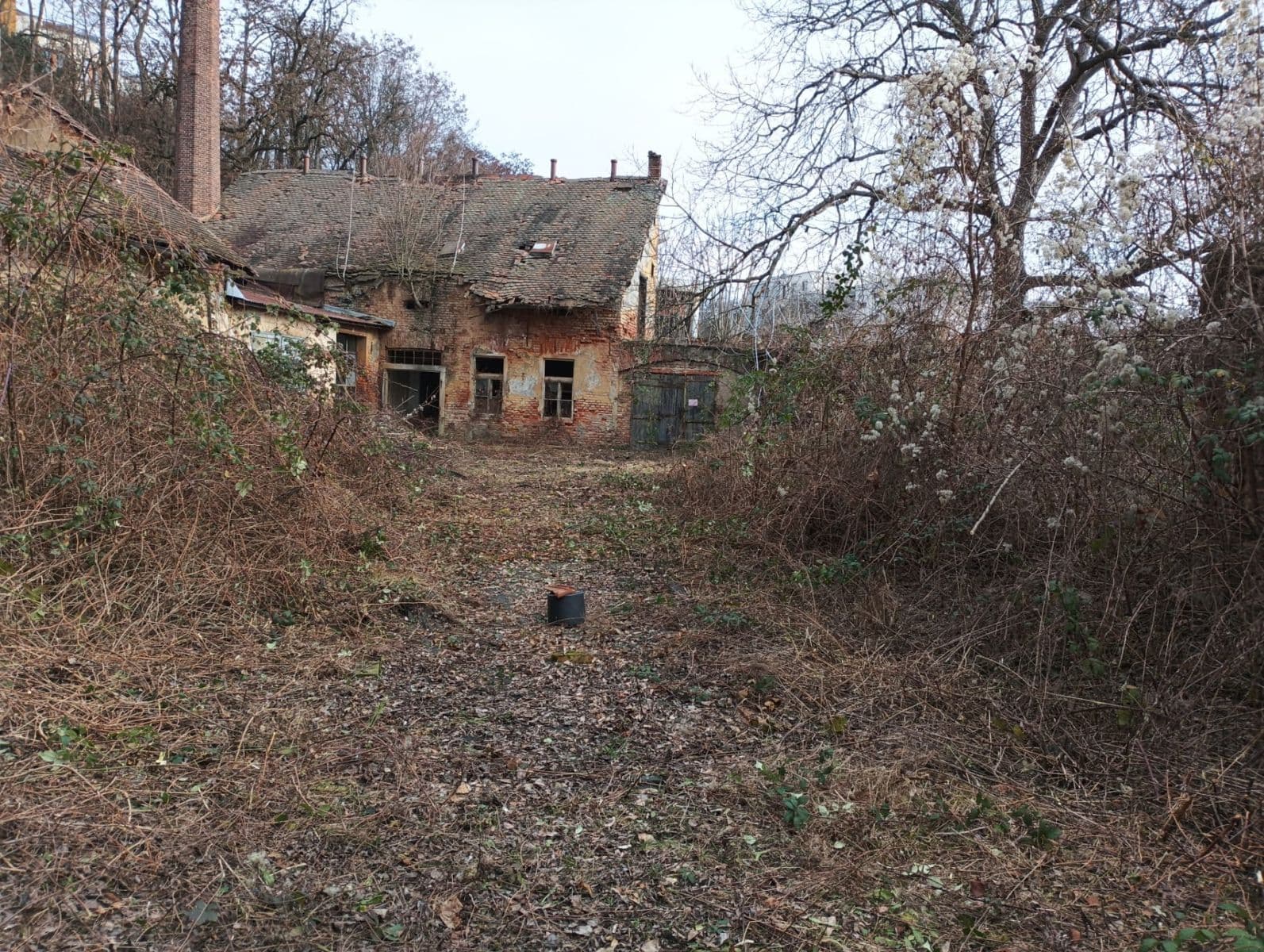 Pronájem pozemku 2.514 m², Vinopalnická, Praha, Praha Pronájem pozemku 2.514 m², Vinopalnická, Praha, Praha