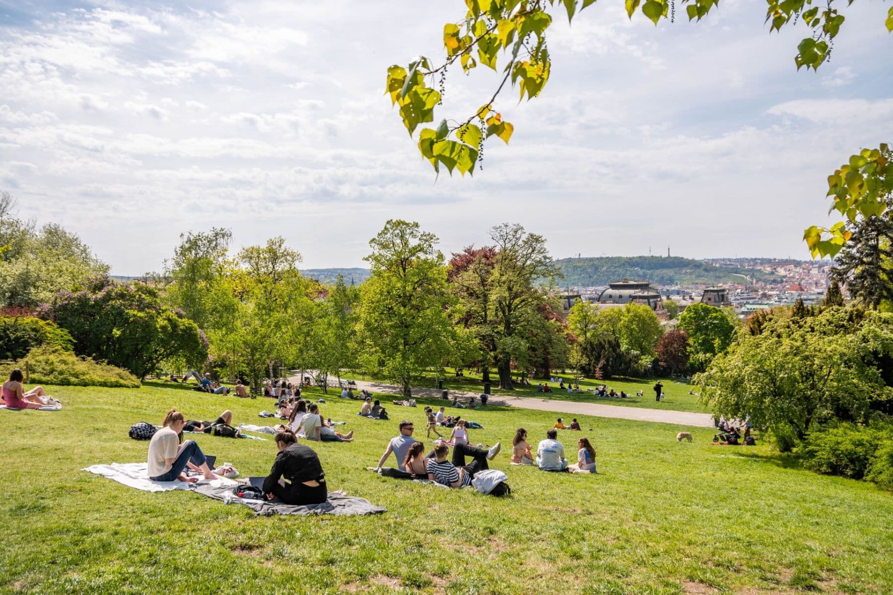 Pronájem bytu 1+kk 25 m², Lucemburská, Praha, Praha Pronájem bytu 1+kk 25 m², Lucemburská, Praha, Praha