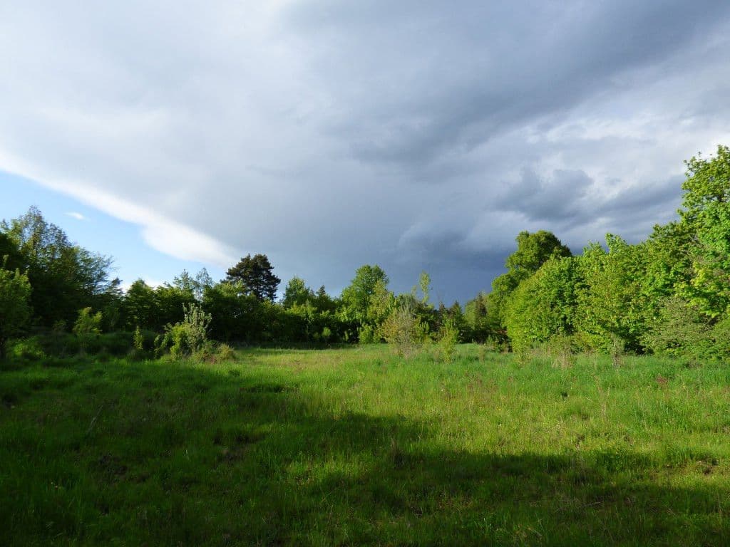 Prodej pozemku 7.636 m², Dobřeň, Středočeský kraj Prodej pozemku 7.636 m², Dobřeň, Středočeský kraj