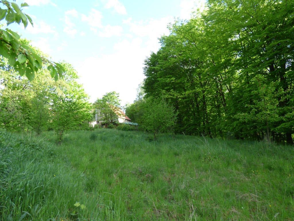 Prodej pozemku 7.636 m², Dobřeň, Středočeský kraj Prodej pozemku 7.636 m², Dobřeň, Středočeský kraj