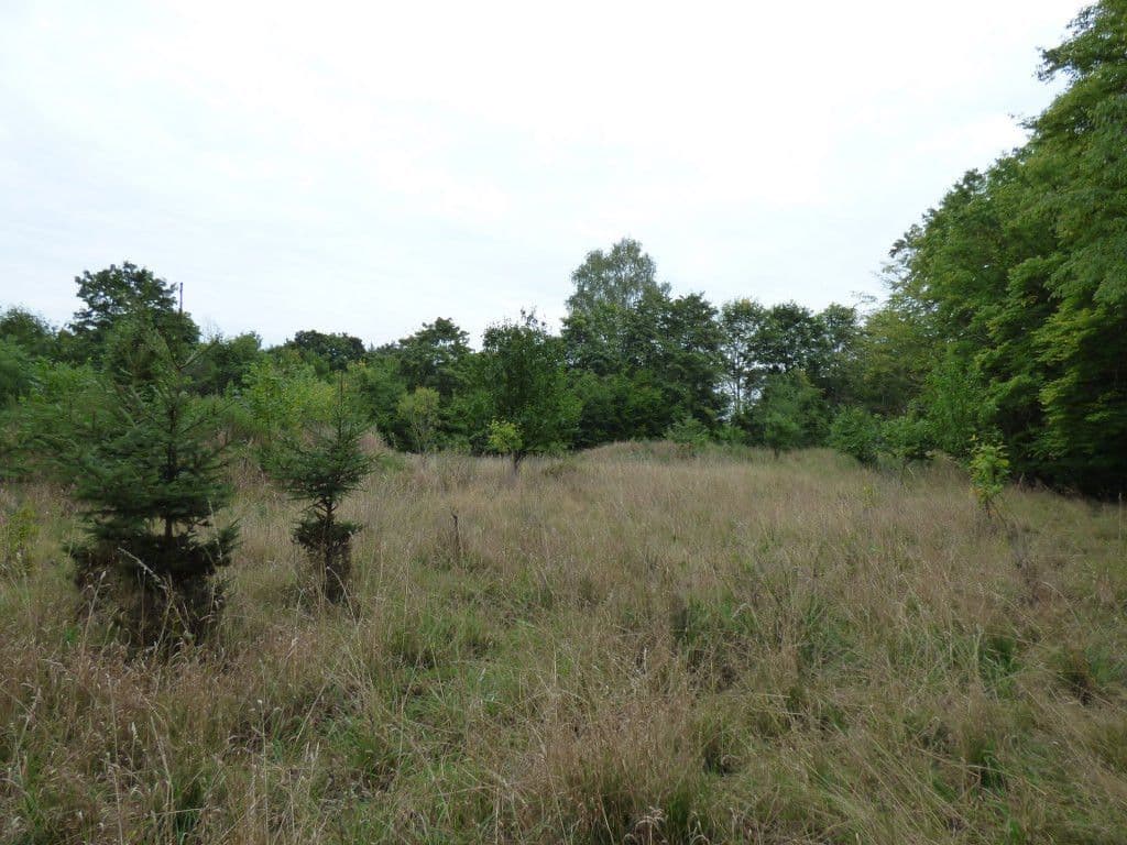 Prodej pozemku 7.636 m², Dobřeň, Středočeský kraj Prodej pozemku 7.636 m², Dobřeň, Středočeský kraj