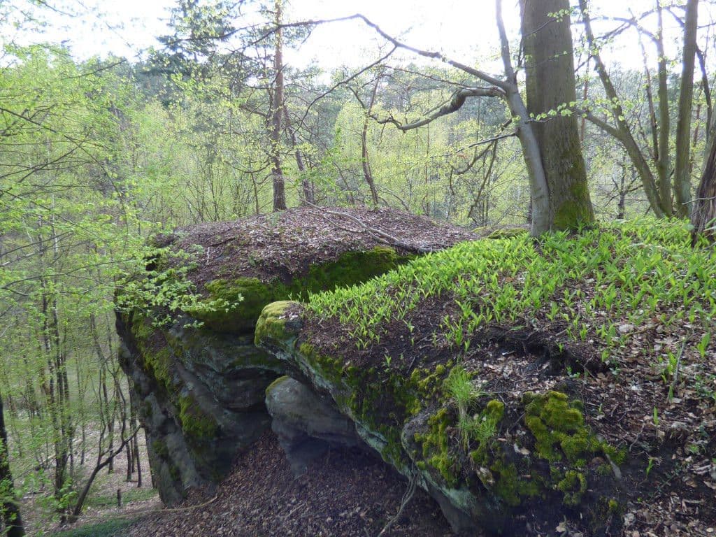 Prodej pozemku 7.636 m², Dobřeň, Středočeský kraj Prodej pozemku 7.636 m², Dobřeň, Středočeský kraj