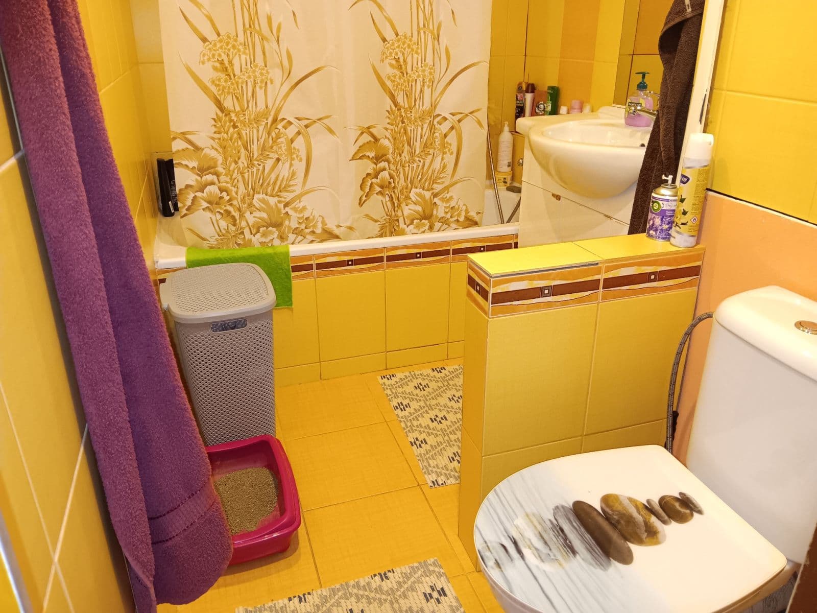 Pronájem bytu 2+1 56 m², Gagarinova, Znojmo, Jihomoravský kraj Pronájem bytu 2+1 56 m², Gagarinova, Znojmo, Jihomoravský kraj