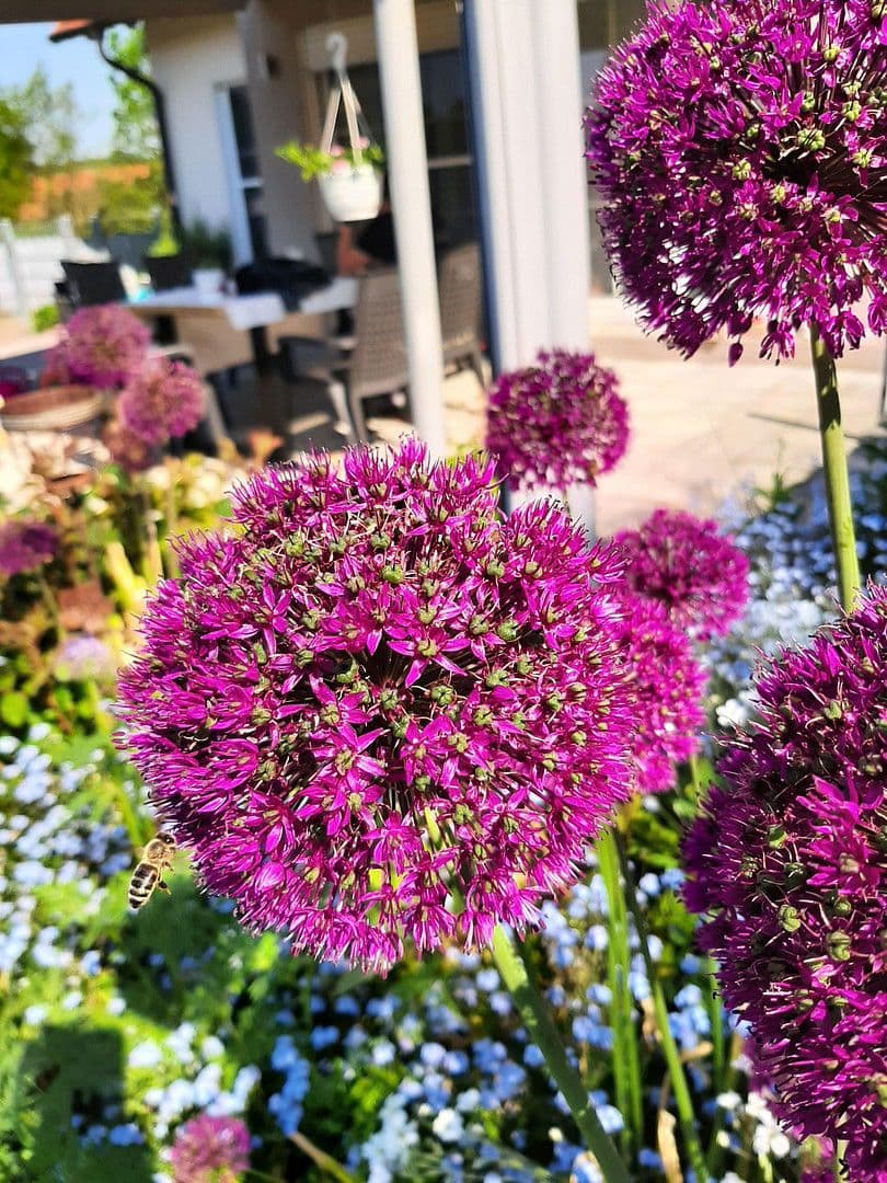 Prodej domu 179 m², pozemek 724 m², Reckendorf, Bavorsko Prodej domu 179 m², pozemek 724 m², Reckendorf, Bavorsko