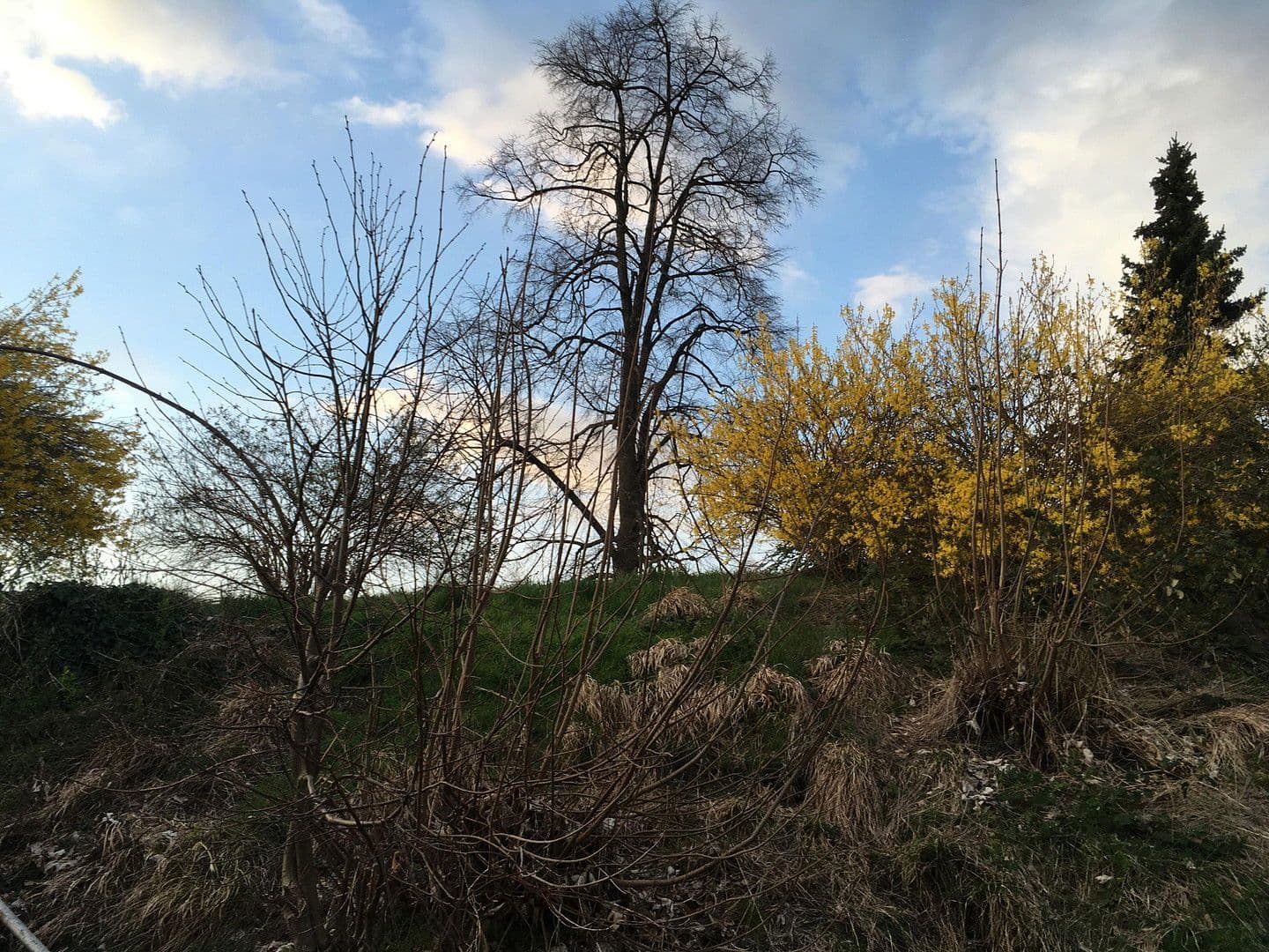 Prodej domu 150 m², pozemek 1.081 m², Am Osterbichl 1, Murnau am Staffelsee, Bavorsko Prodej domu 150 m², pozemek 1.081 m², Am Osterbichl 1, Murnau am Staffelsee, Bavorsko