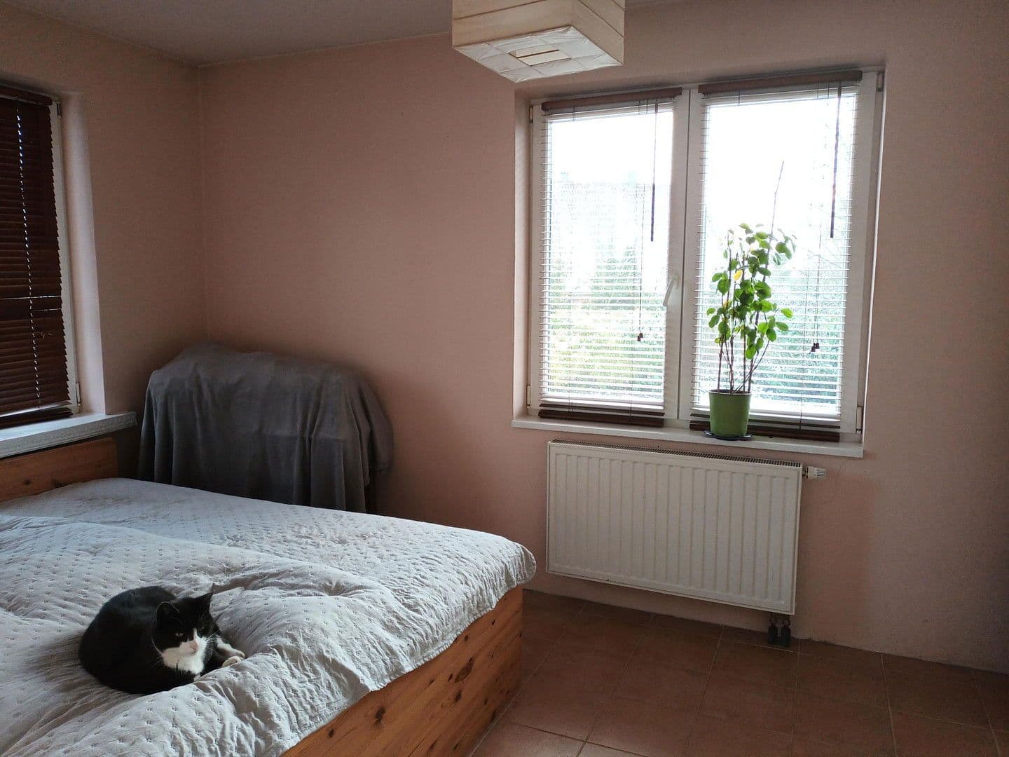 Prodej domu 159 m², pozemek 3.000 m², Neustadt in Holstein, Šlesvicko-Holštýnsko Prodej domu 159 m², pozemek 3.000 m², Neustadt in Holstein, Šlesvicko-Holštýnsko