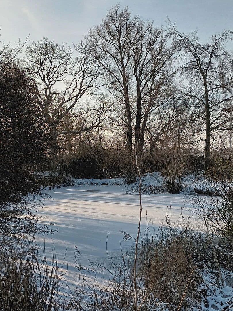 Prodej domu 159 m², pozemek 3.000 m², Neustadt in Holstein, Šlesvicko-Holštýnsko Prodej domu 159 m², pozemek 3.000 m², Neustadt in Holstein, Šlesvicko-Holštýnsko