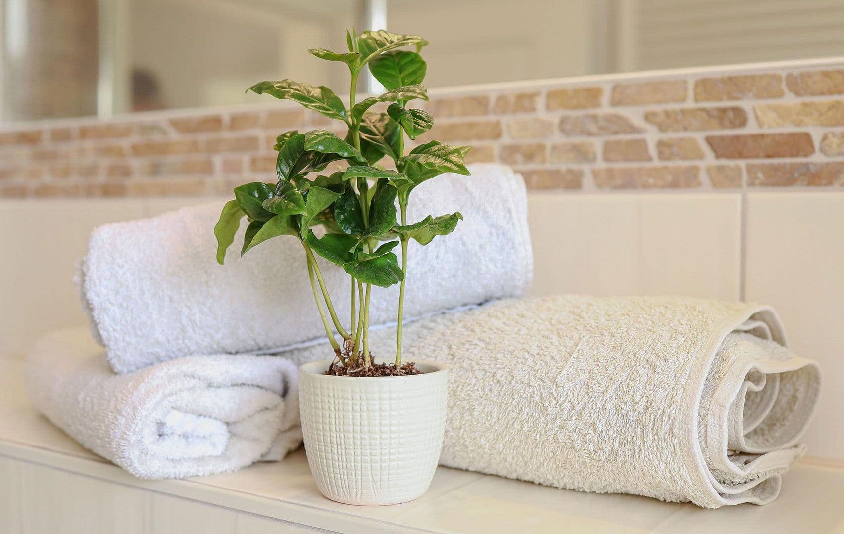 Prodej domu 144 m², pozemek 1.119 m², Schwielowsee, Braniborsko Prodej domu 144 m², pozemek 1.119 m², Schwielowsee, Braniborsko