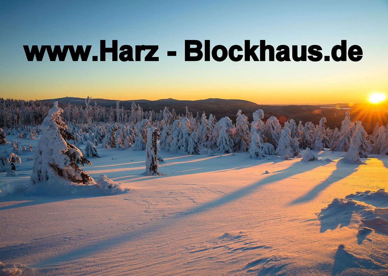 Prodej domu 500 m², pozemek 1.485 m², Goslar, Dolní Sasko Prodej domu 500 m², pozemek 1.485 m², Goslar, Dolní Sasko