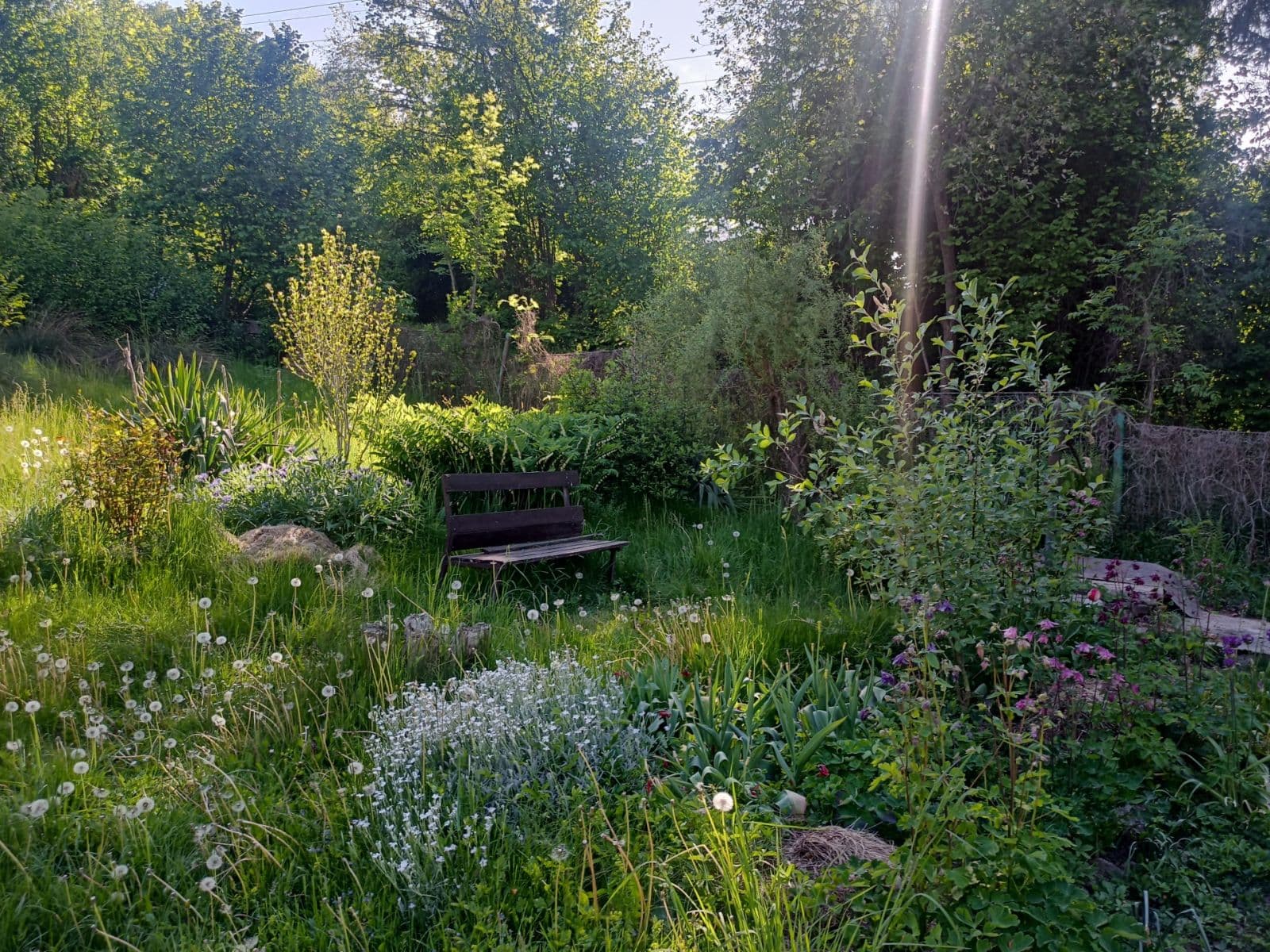 Pronájem bytu 1+1 43 m², U Vápenice, Praha, Praha Pronájem bytu 1+1 43 m², U Vápenice, Praha, Praha