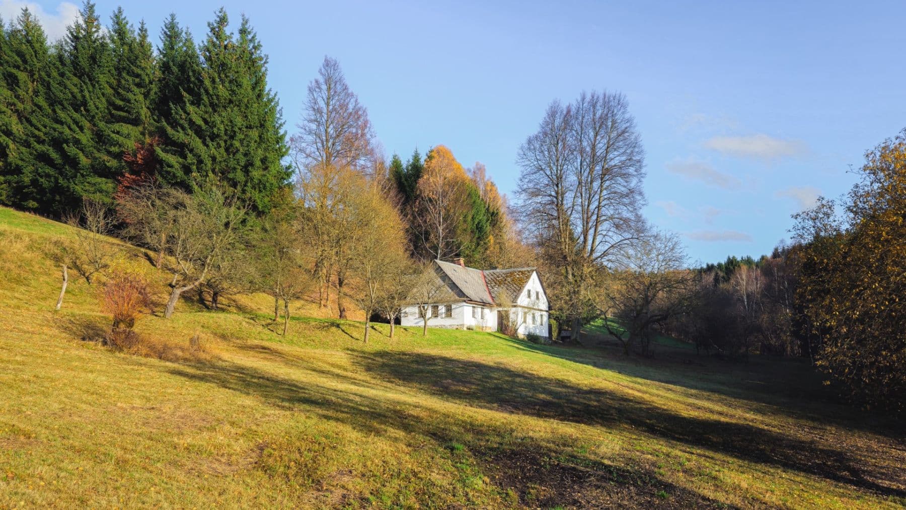 Prodej chaty, chalupy 180 m², pozemek 5.147 m², Kunvald, Pardubický kraj Prodej chaty, chalupy 180 m², pozemek 5.147 m², Kunvald, Pardubický kraj