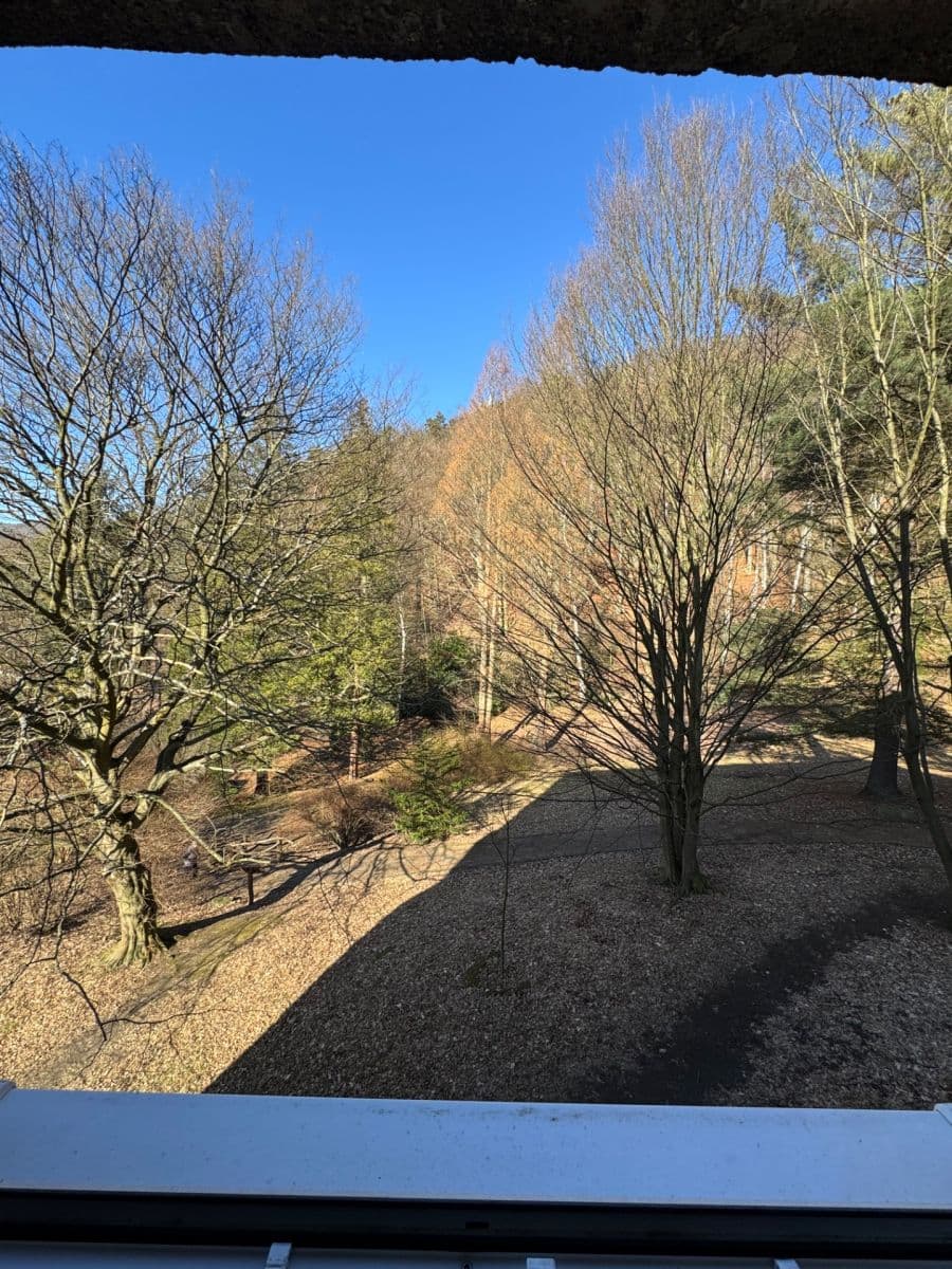 Pronájem bytu 3+1 90 m², Stoliční, Děčín, Ústecký kraj Pronájem bytu 3+1 90 m², Stoliční, Děčín, Ústecký kraj