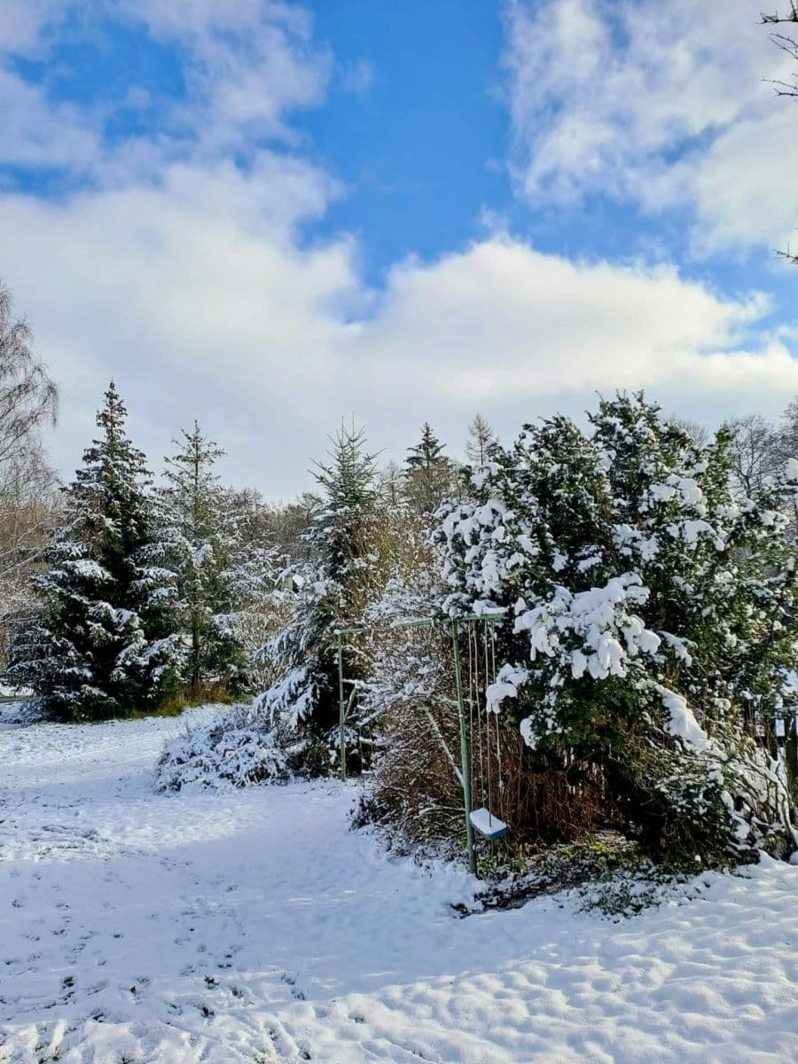 Prodej chaty, chalupy 138 m², pozemek 381 m², Lomnice, Moravskoslezský kraj Prodej chaty, chalupy 138 m², pozemek 381 m², Lomnice, Moravskoslezský kraj