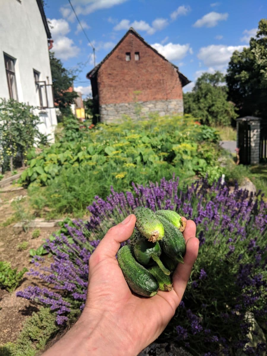 Prodej chaty, chalupy 316 m², pozemek 670 m², Kolinec, Plzeňský kraj Prodej chaty, chalupy 316 m², pozemek 670 m², Kolinec, Plzeňský kraj