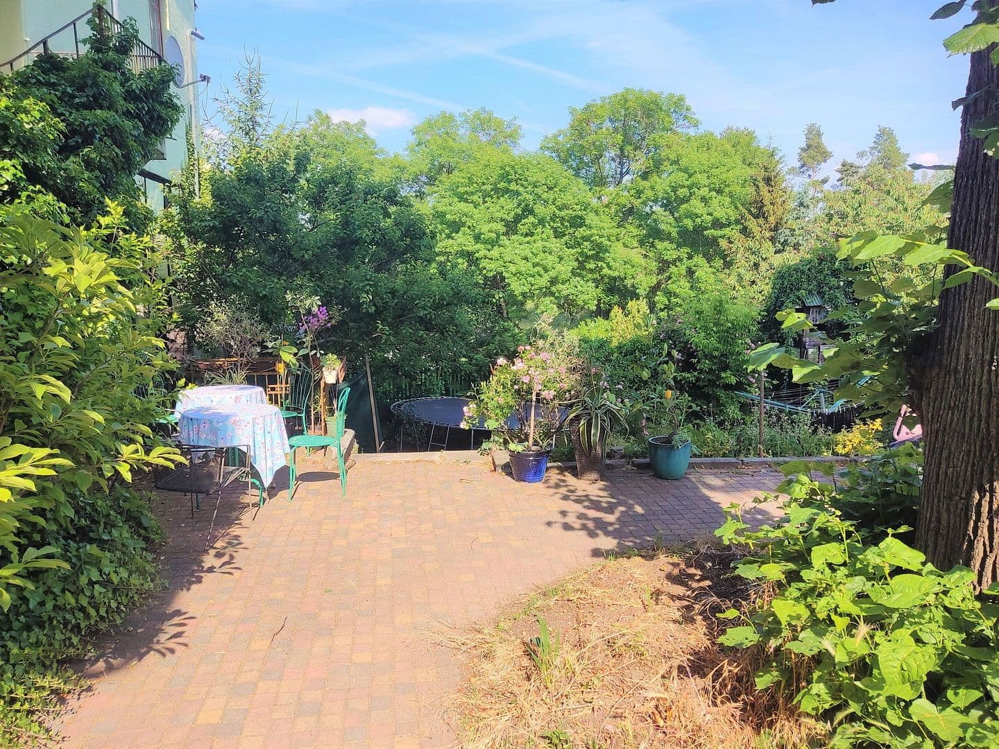 Prodej domu 513 m², pozemek 1.557 m², Elsteraue, Sasko-Anhaltsko Prodej domu 513 m², pozemek 1.557 m², Elsteraue, Sasko-Anhaltsko