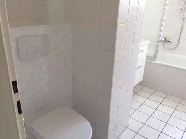 Pronájem bytu 2+1 52 m², Konstanz, Bádensko-Württembersko Pronájem bytu 2+1 52 m², Konstanz, Bádensko-Württembersko